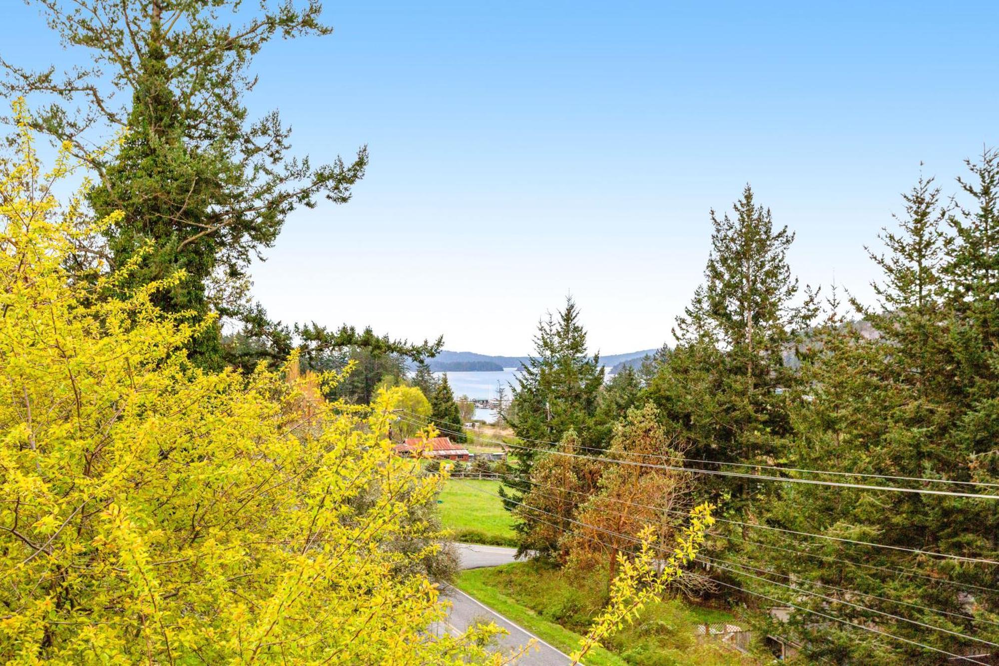 Deer Harbor Cottages Kamer foto